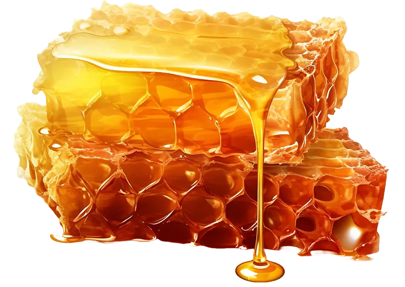 honeycomb